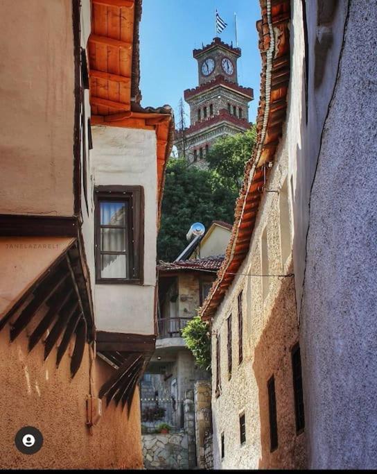 Mama'S House. 300M Απο Τον Μύλο Των Ξωτικών. Villa Tríkala Dış mekan fotoğraf